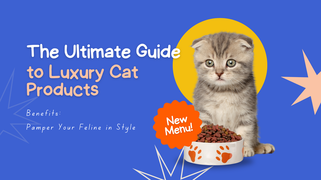 The Ultimate Guide to Luxury Cat Products – Pamper Your Feline in Style